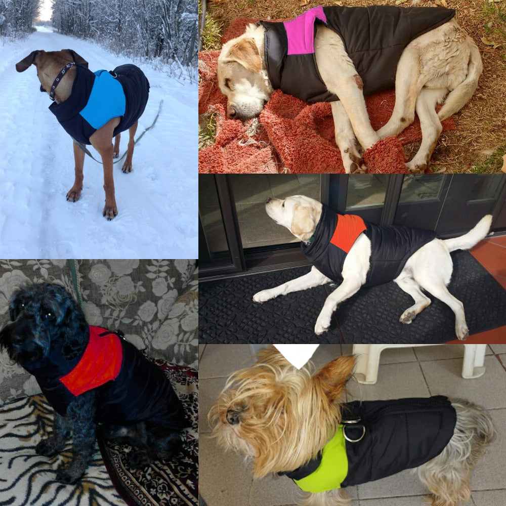 Fashion Waterproof Winter Dog's Vest - Pet and Parent Care