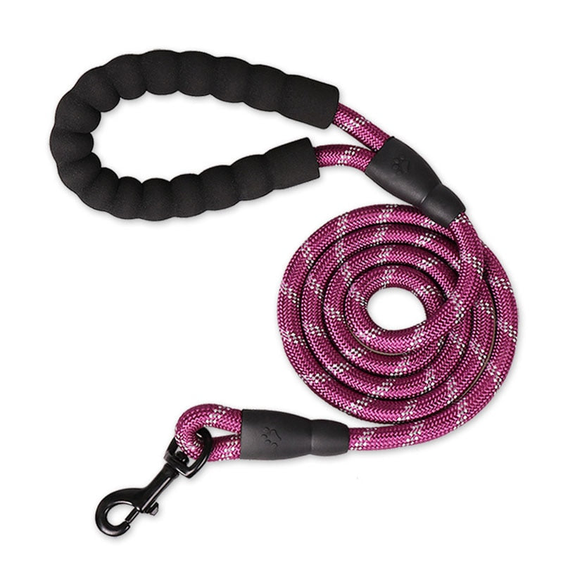 Colorful Thick Nylon Dog Leash - Pet and Parent Care