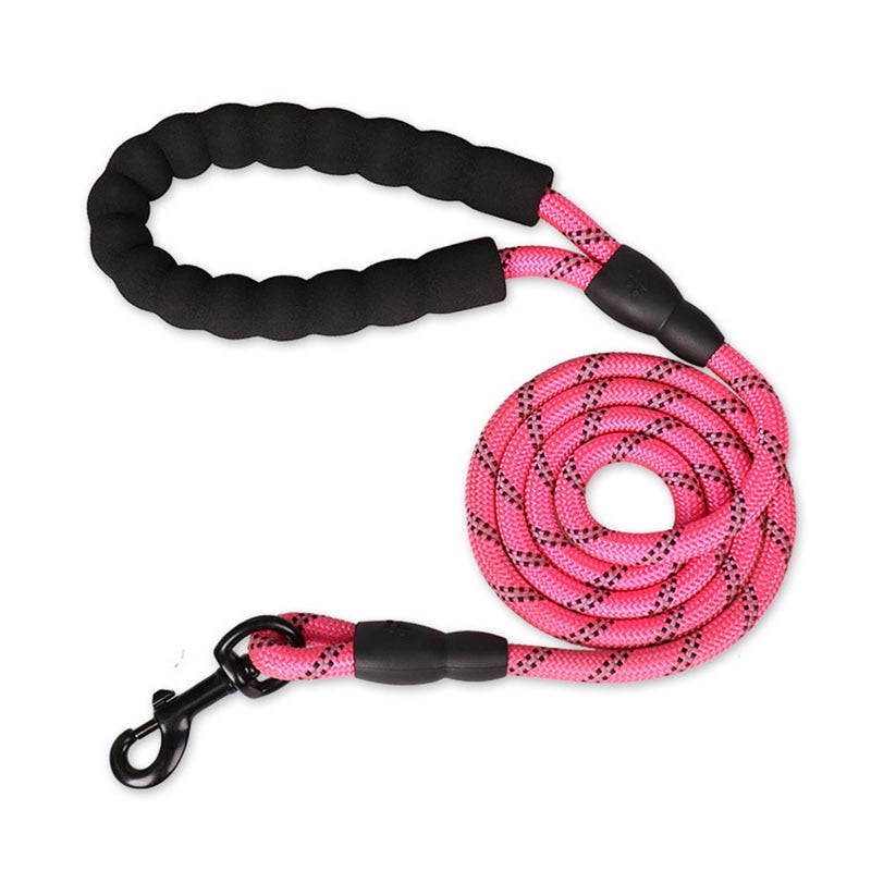 Colorful Thick Nylon Dog Leash - Pet and Parent Care