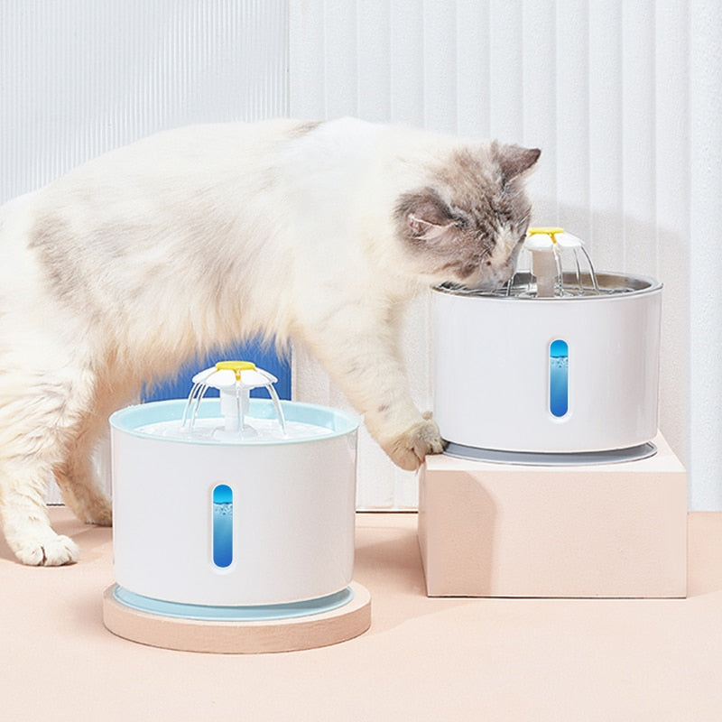 USB Cat Water Fountain - Pet and Parent Care