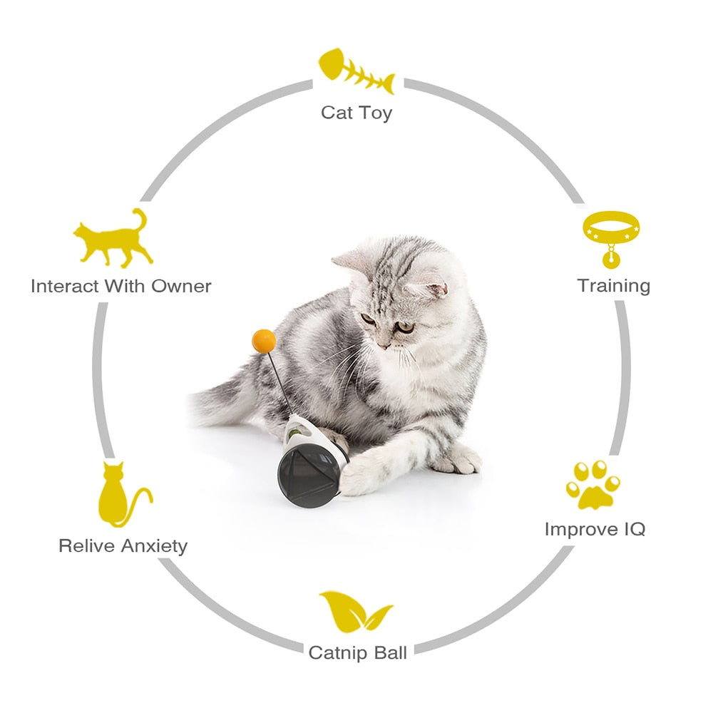 Tumbler Swing Toy for Cats - Pet and Parent Care