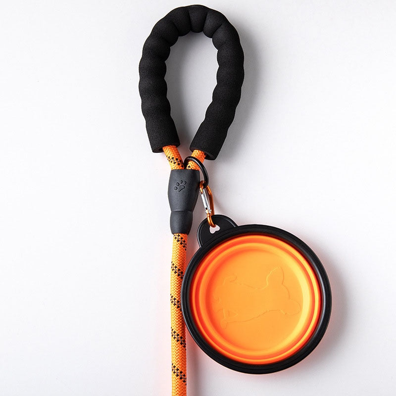 Colorful Thick Nylon Dog Leash - Pet and Parent Care