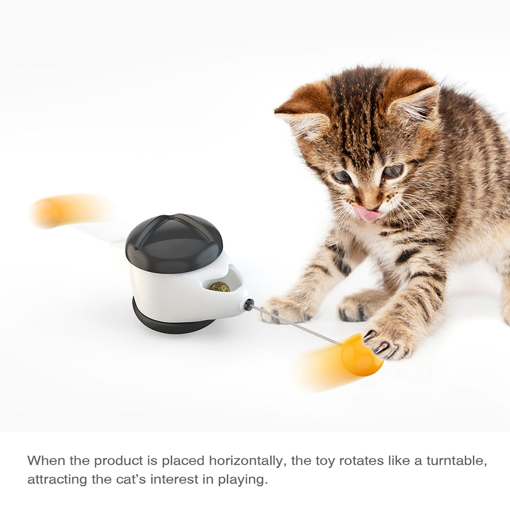 Tumbler Swing Toy for Cats - Pet and Parent Care