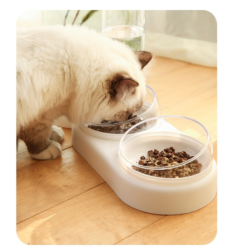 Triple Cat Bowl with Automatic Water Feeder - Pet and Parent Care