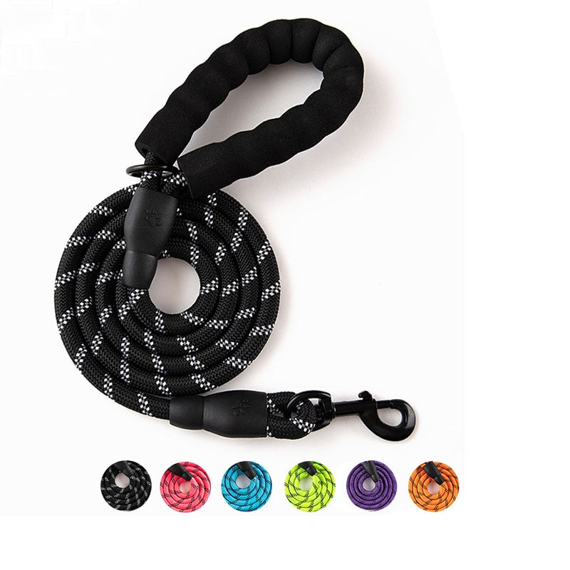 Colorful Thick Nylon Dog Leash - Pet and Parent Care