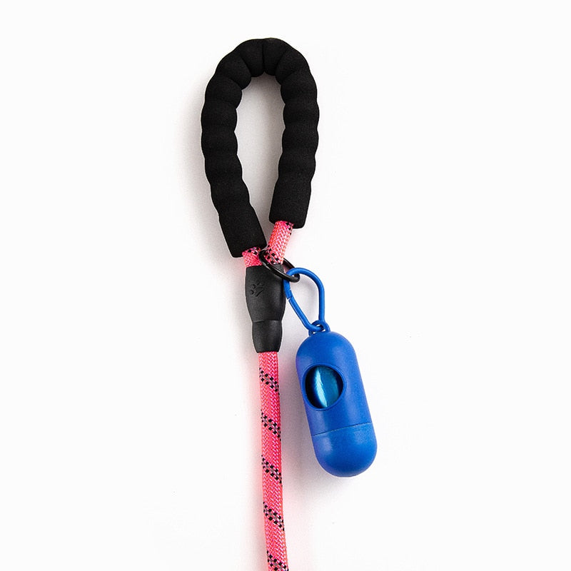 Colorful Thick Nylon Dog Leash - Pet and Parent Care