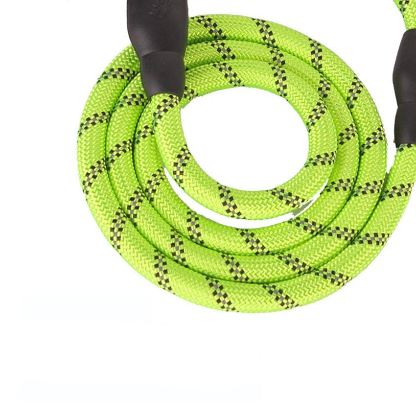 Dogs Reflective Nylon Rope - Pet and Parent Care