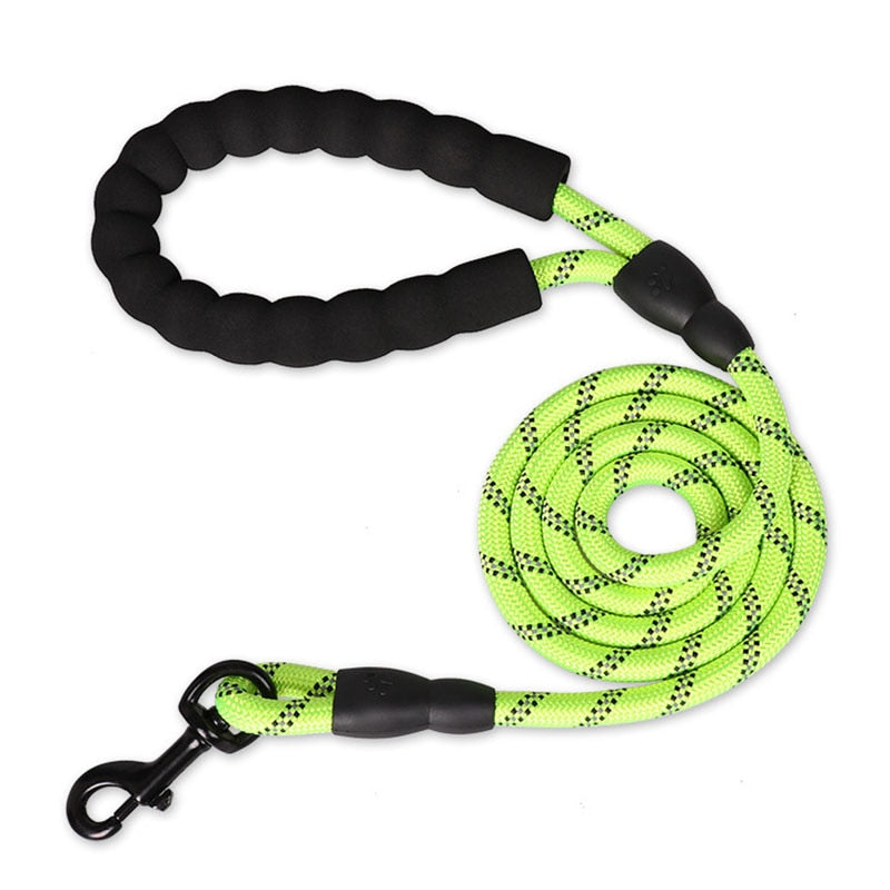 Colorful Thick Nylon Dog Leash - Pet and Parent Care