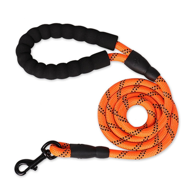 Colorful Thick Nylon Dog Leash - Pet and Parent Care