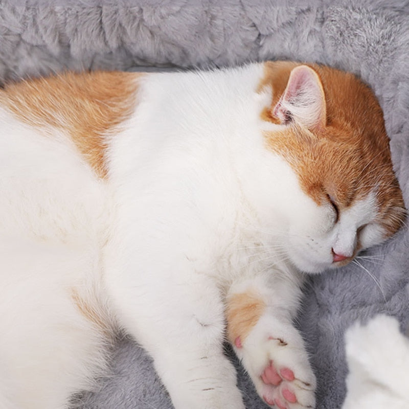 Soft Plush Bed House - Pet and Parent Care