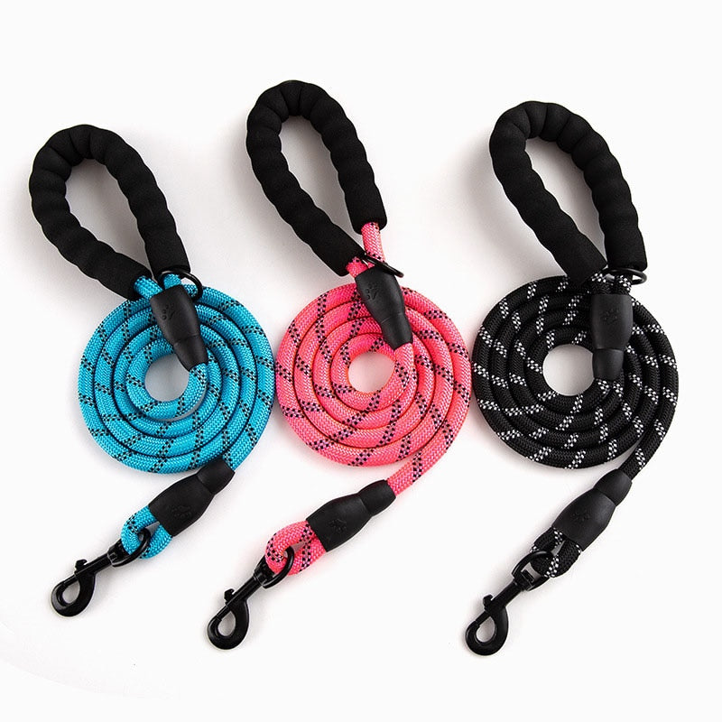 Colorful Thick Nylon Dog Leash - Pet and Parent Care