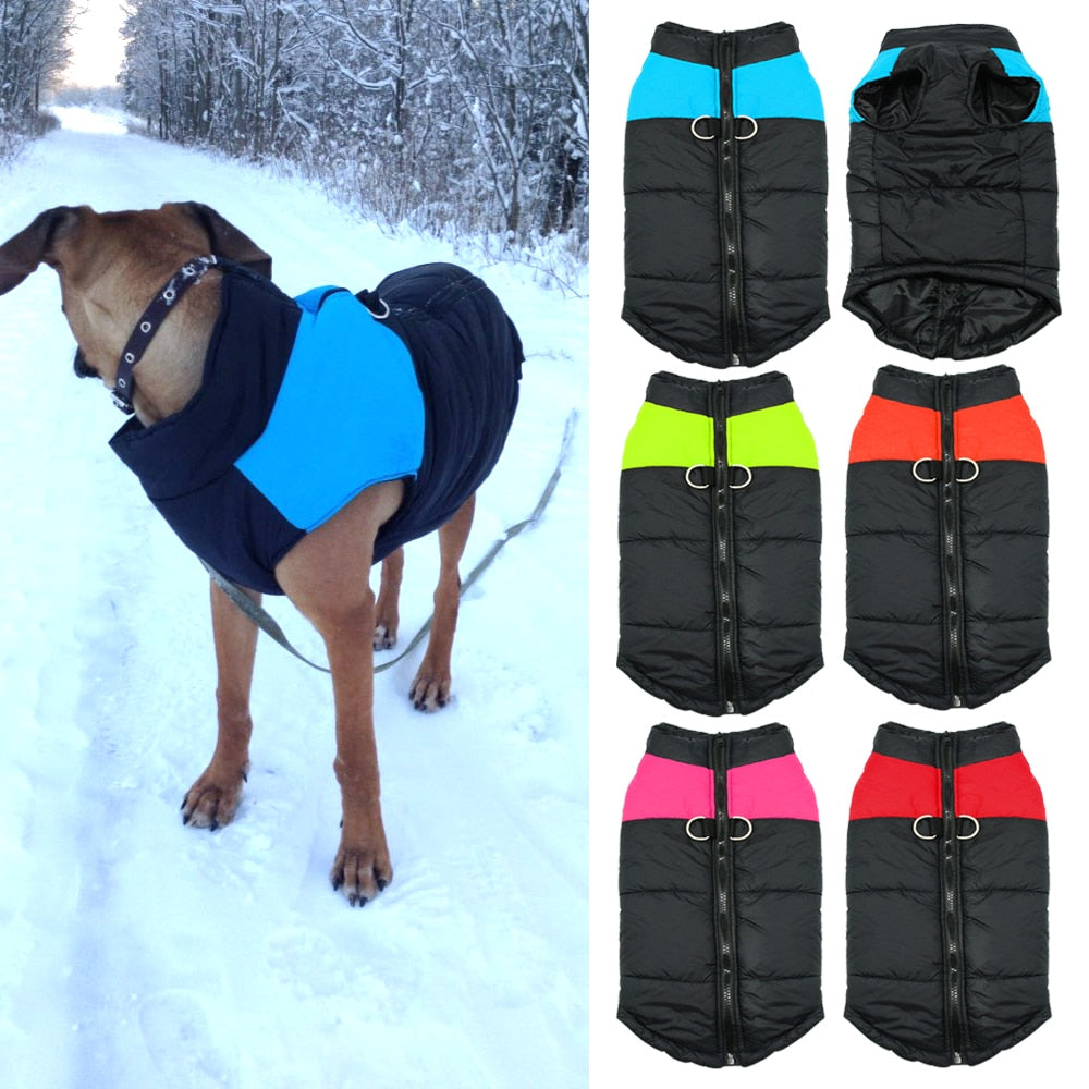 Fashion Waterproof Winter Dog's Vest - Pet and Parent Care