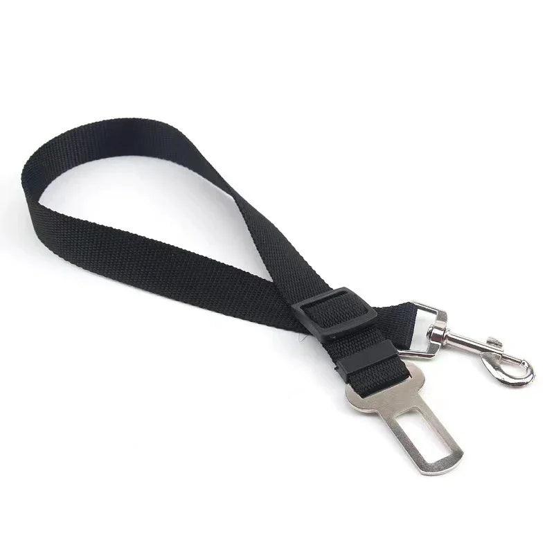 PetSafe Car Seatbelt - Pet and Parent Care