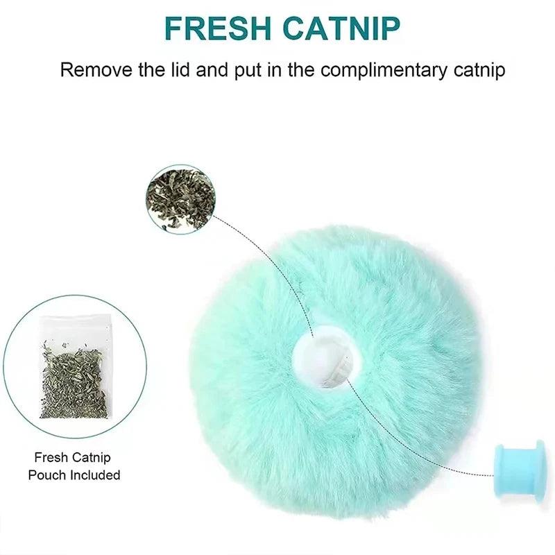 Smart Catnip Squeak Ball - Pet and Parent Care