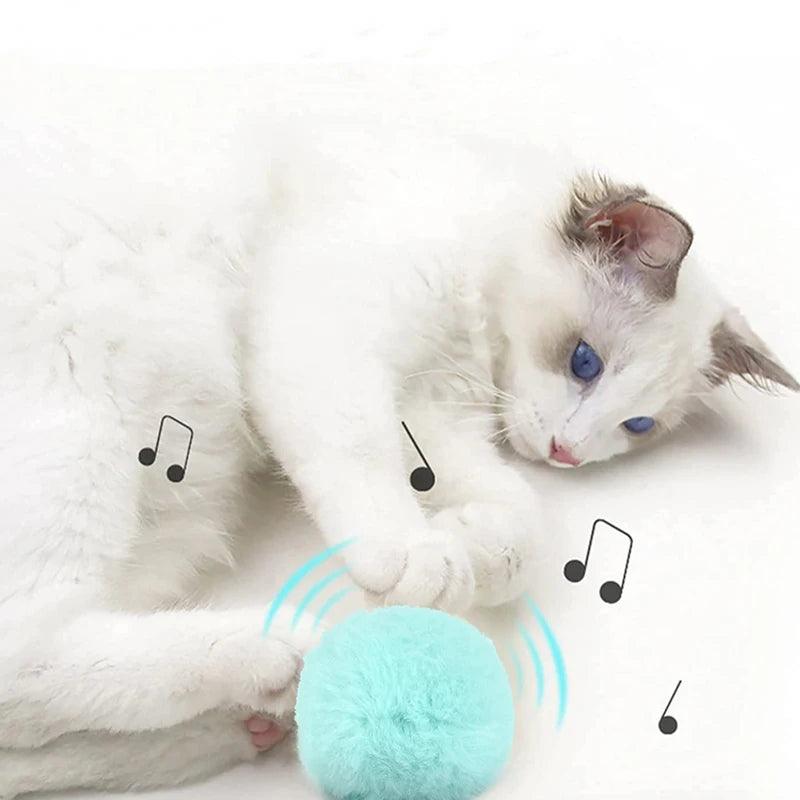 Smart Catnip Squeak Ball - Pet and Parent Care