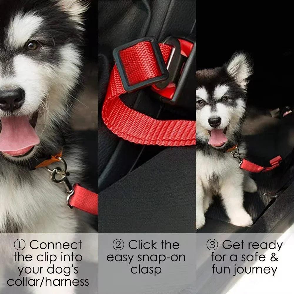 PetSafe Car Seatbelt - Pet and Parent Care