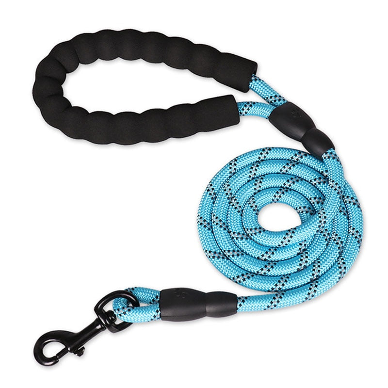 Colorful Thick Nylon Dog Leash - Pet and Parent Care