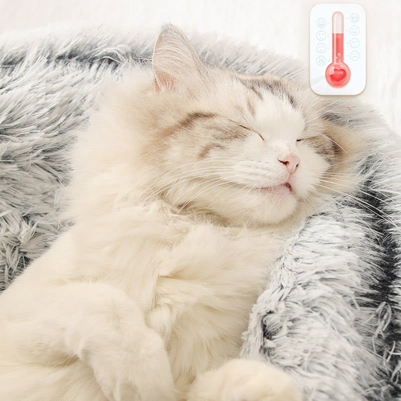 Cats Round Plush Bed - Pet and Parent Care