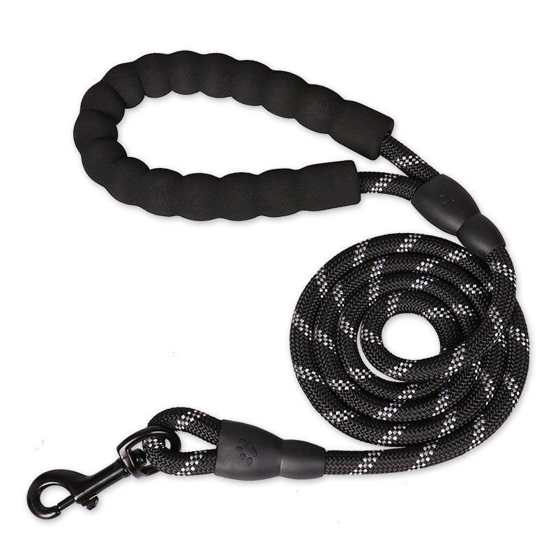 Colorful Thick Nylon Dog Leash - Pet and Parent Care