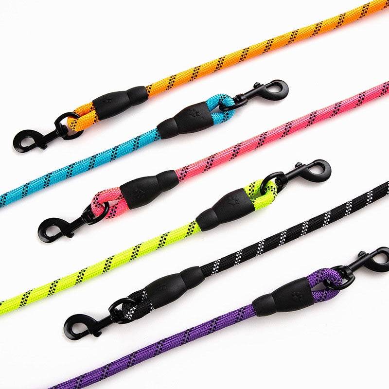 Colorful Thick Nylon Dog Leash - Pet and Parent Care