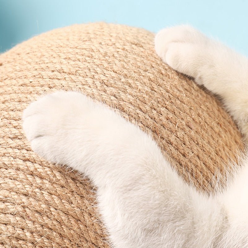 Cat's Small Rotating Scratcher - Pet and Parent Care