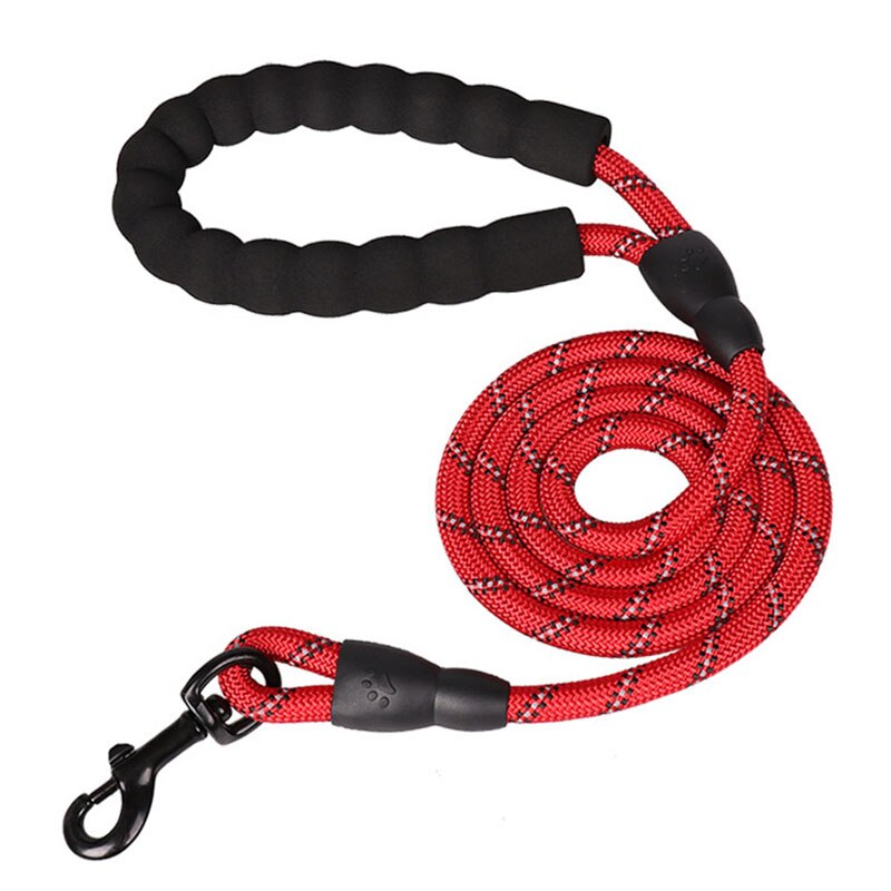 Colorful Thick Nylon Dog Leash - Pet and Parent Care