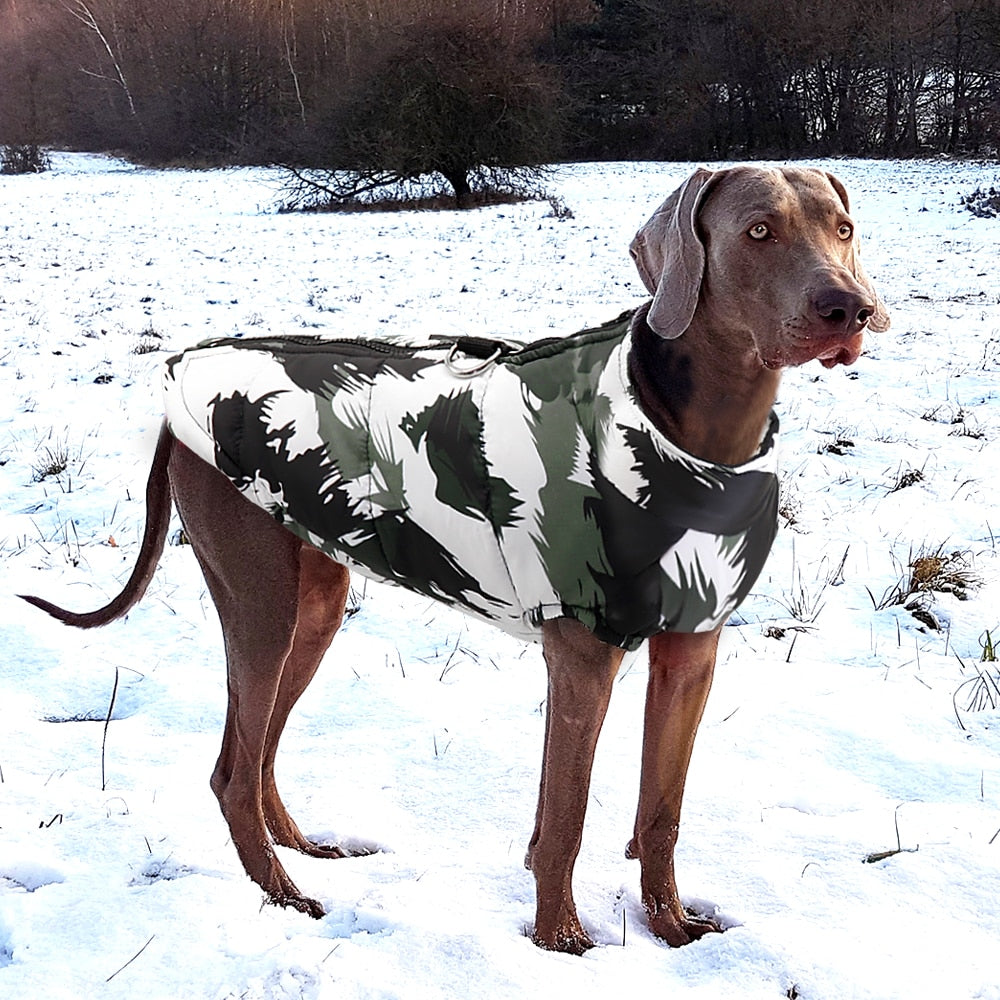 Waterproof Winter Dog Vest - Pet and Parent Care