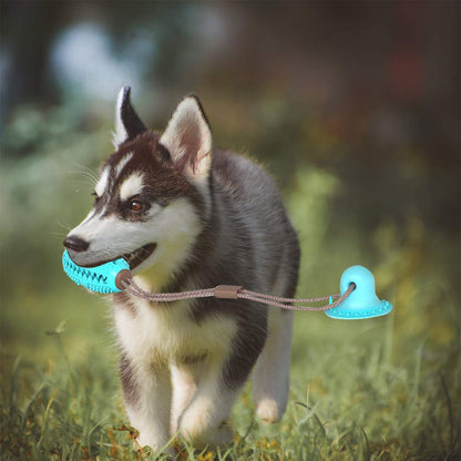 Biting Toy for Dogs