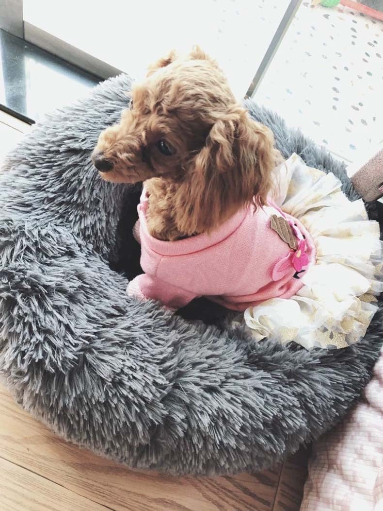 Pet's Round Shaped Fluffy Bed