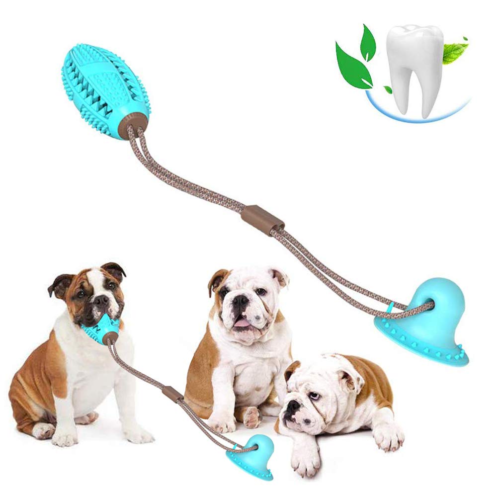 Biting Toy for Dogs