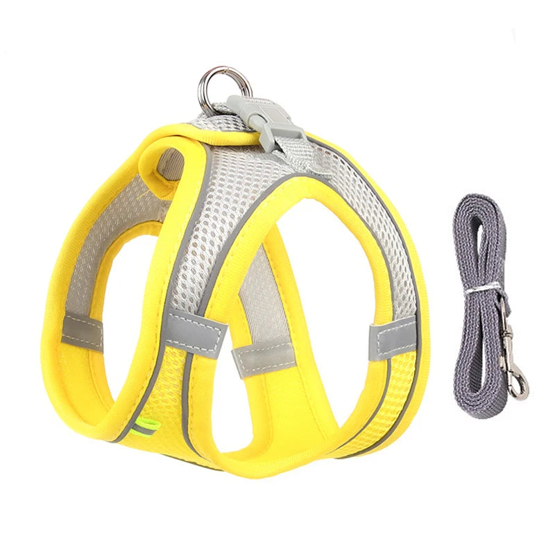 ComfortFit Dog Harness Set