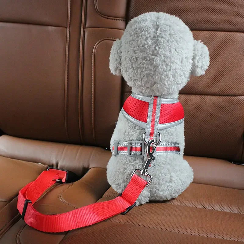 PetSafe Car Seatbelt