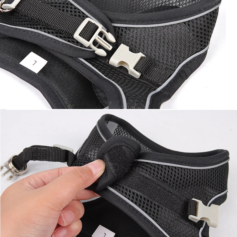 ComfortFit Dog Harness Set