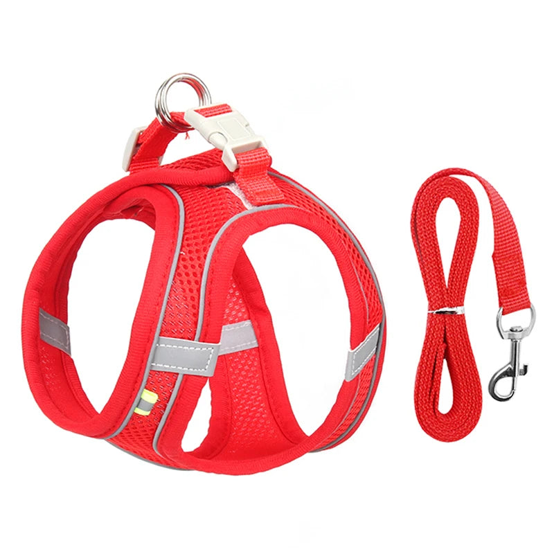 ComfortFit Dog Harness Set