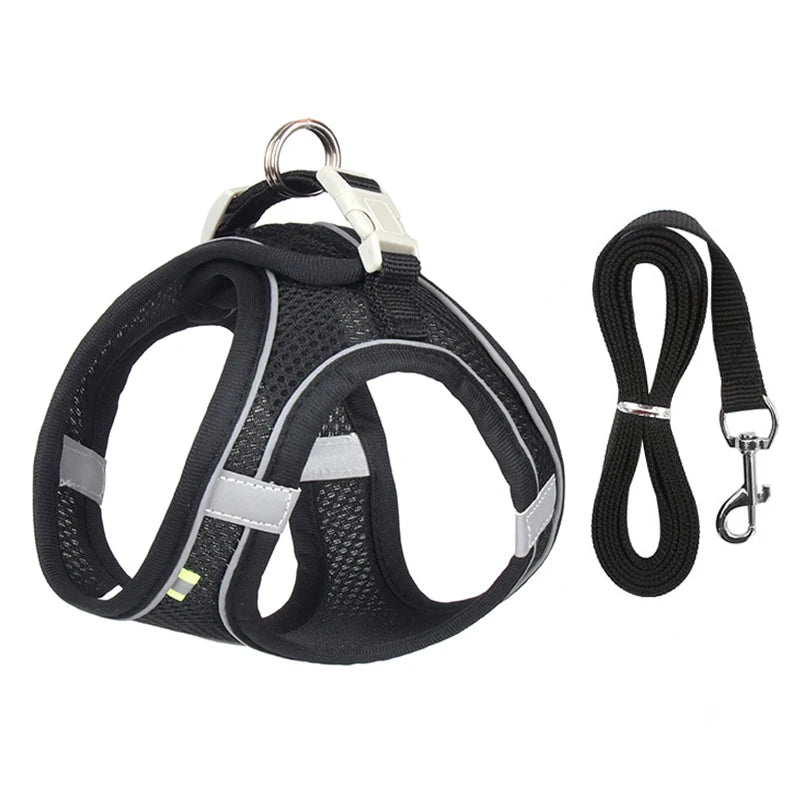 ComfortFit Dog Harness Set