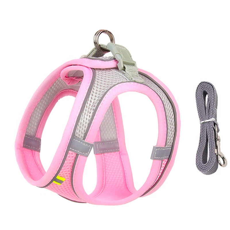 ComfortFit Dog Harness Set