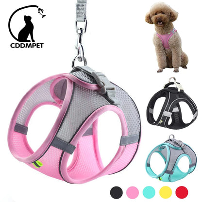 ComfortFit Dog Harness Set