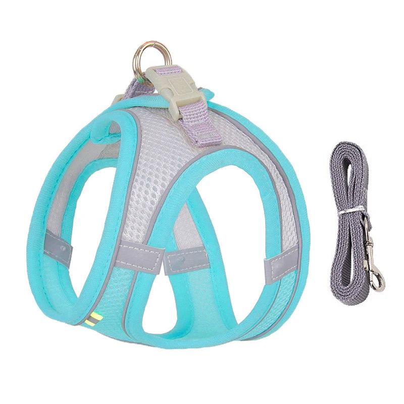 ComfortFit Dog Harness Set