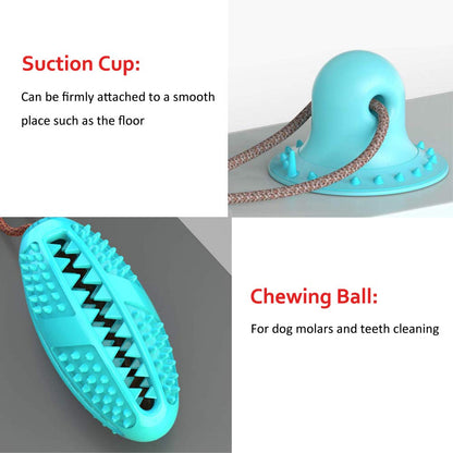 Biting Toy for Dogs